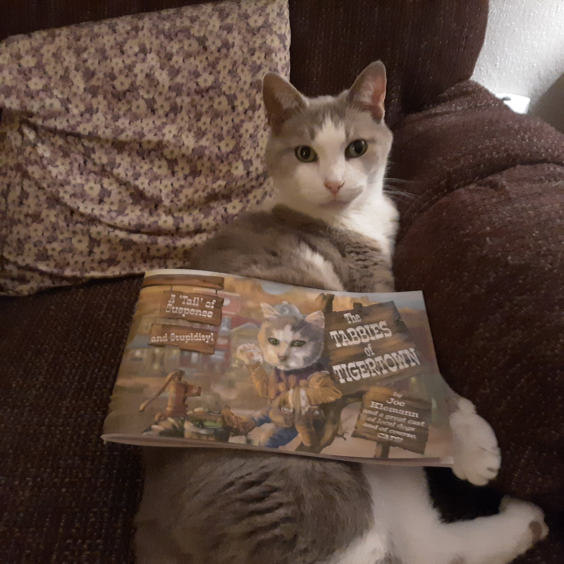 New at Blogging! (Is that how you say it?)