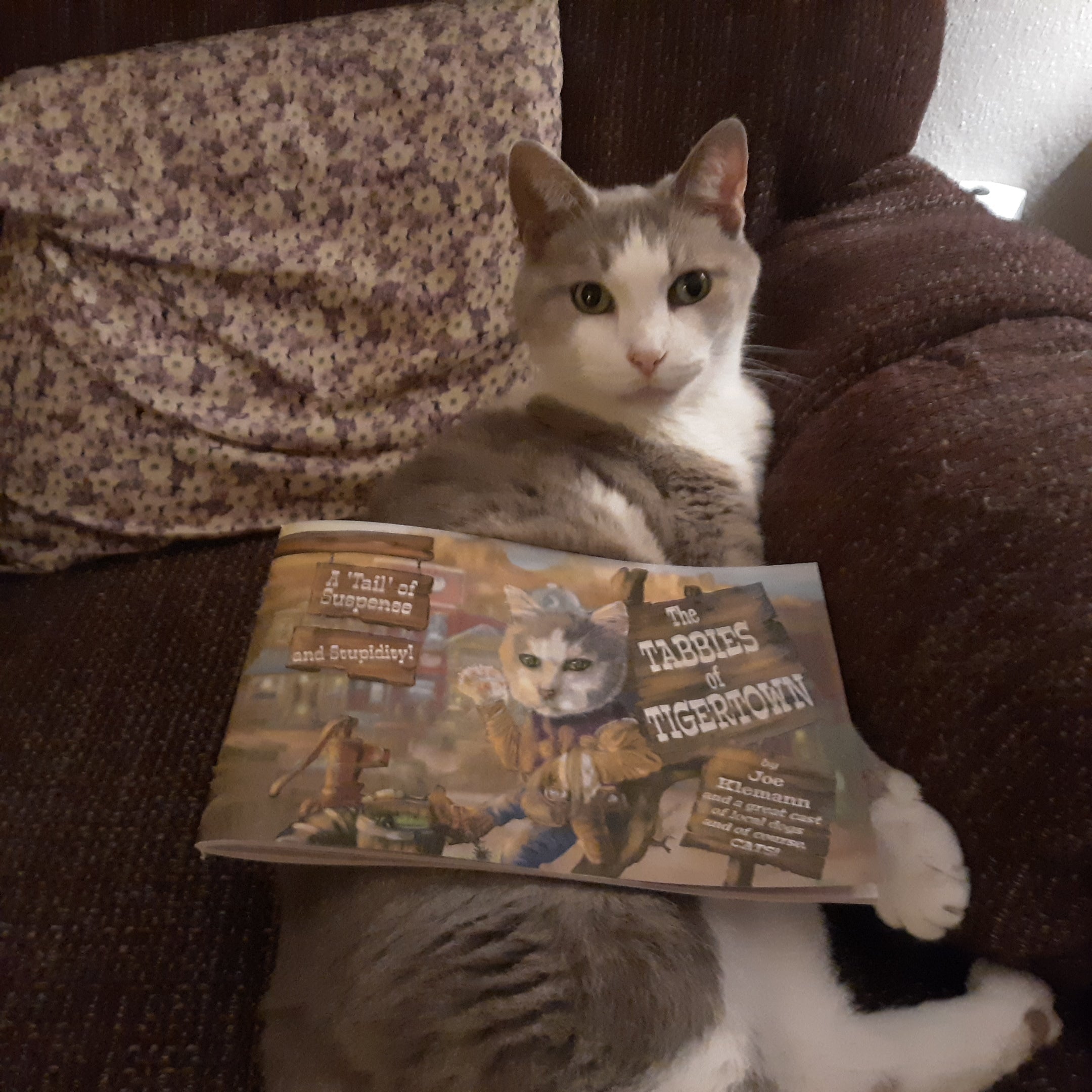 New at Blogging! (Is that how you say it?)