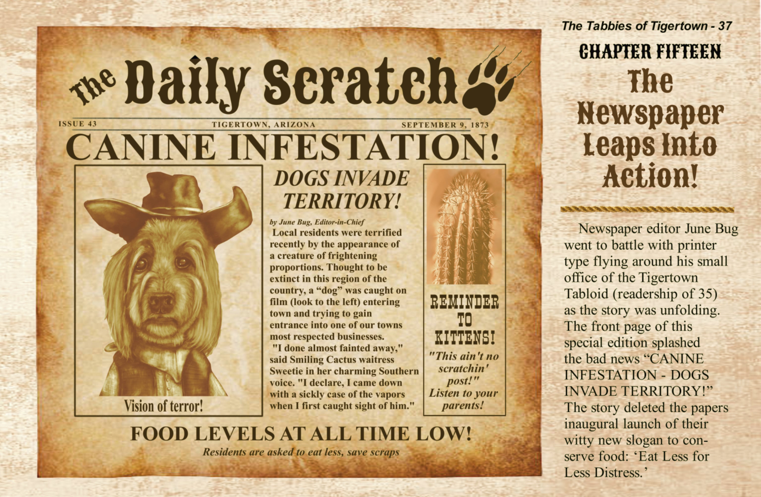 The Tabbies of Tigertown