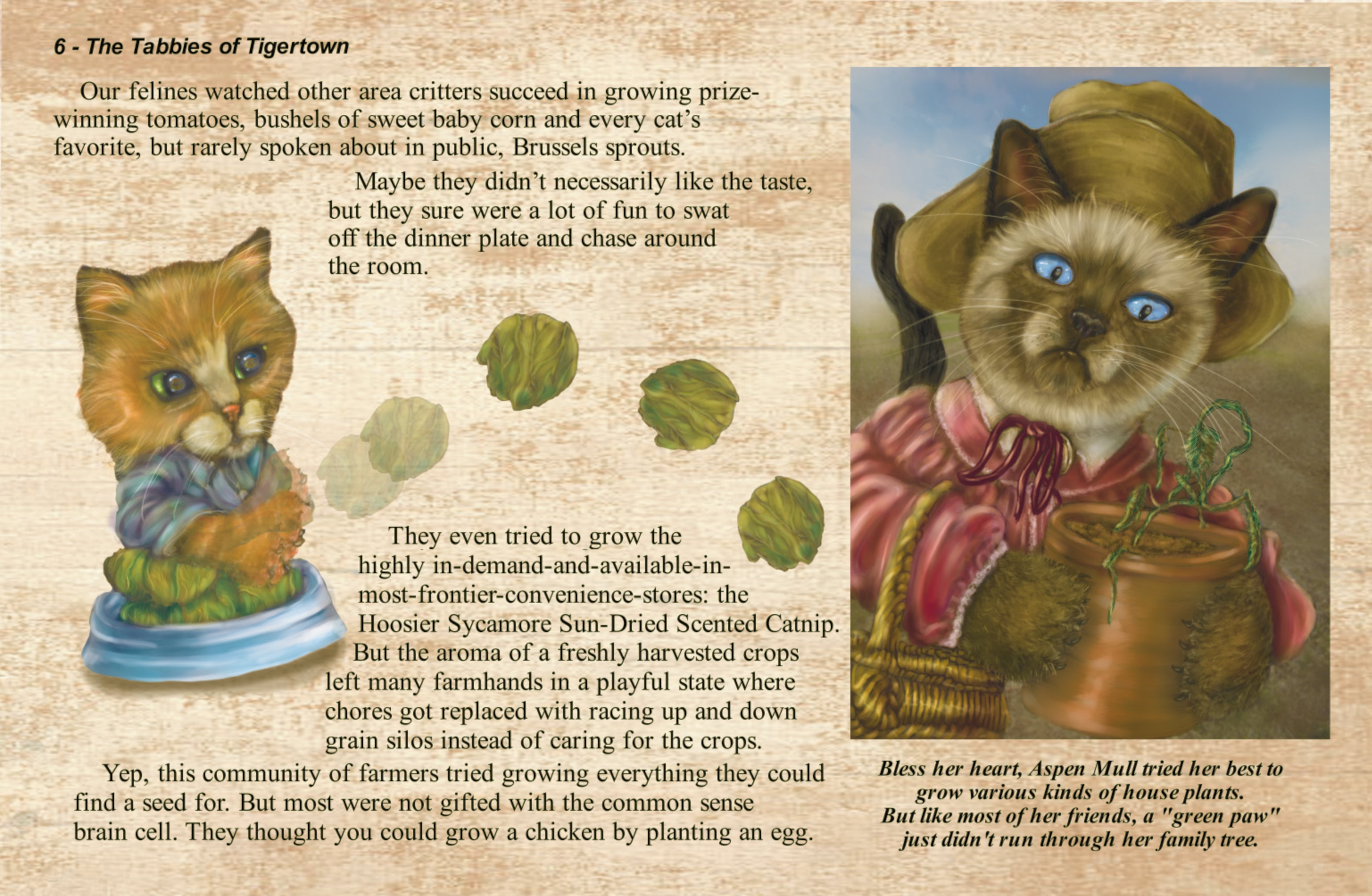 The Tabbies of Tigertown